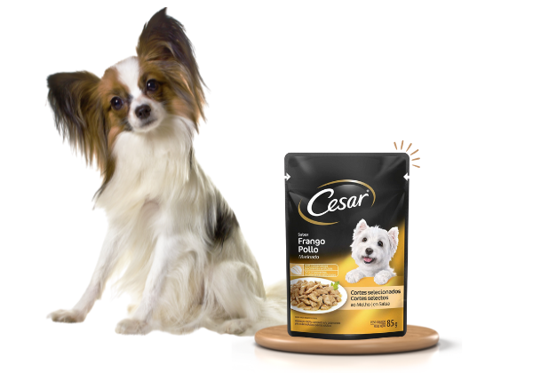 cesar