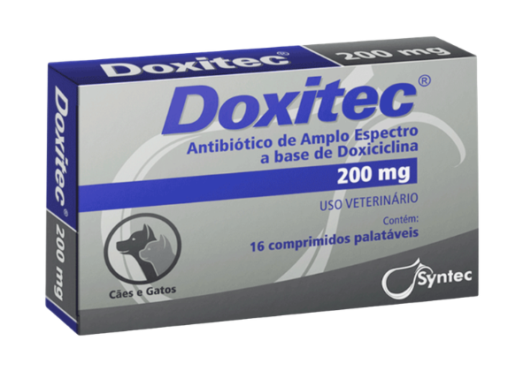 antibiótico para cães e gatos