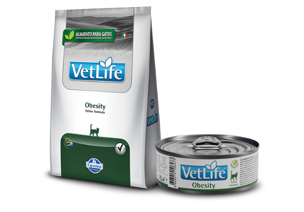 Ração para gatos obesos