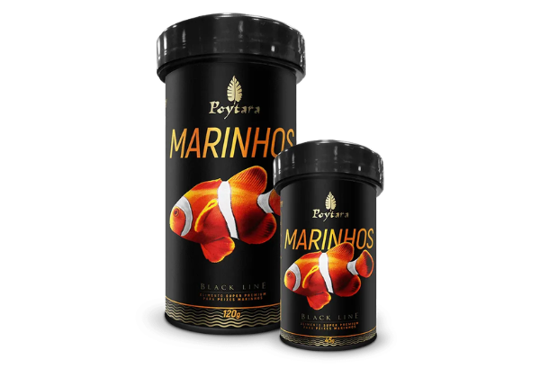 peixes marinhos