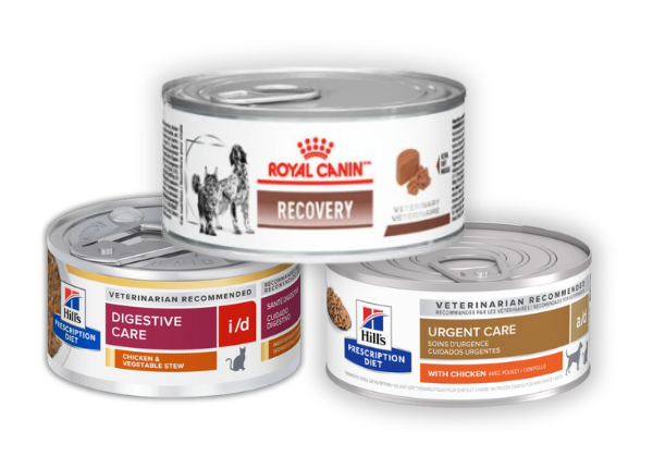 ração medicamentosa pra gato