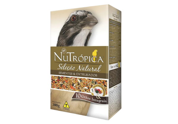 ração para passaros silvestres