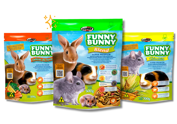  Funny Bunny