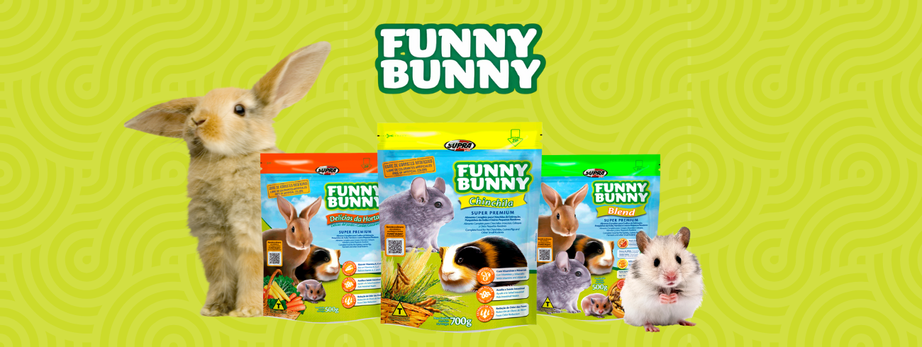 Funny Bunny