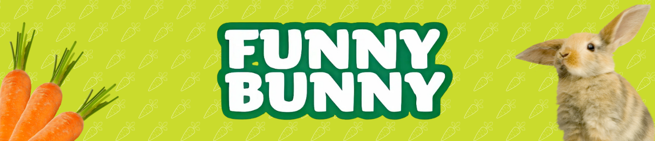 Funny Bunny