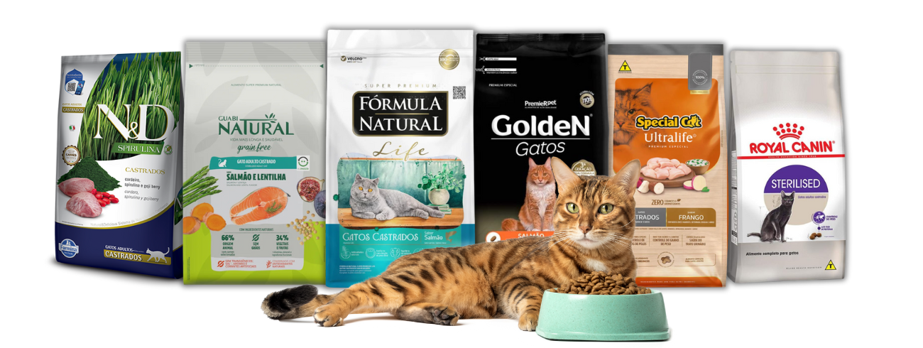 Gato deitado ao lado de pacotes de ração para gatos