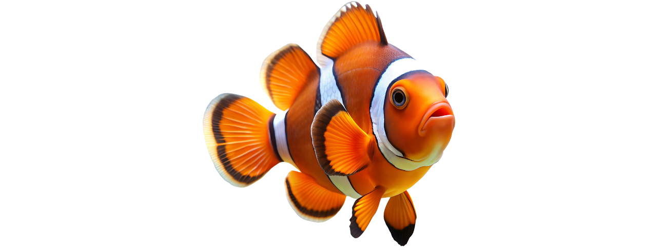 peixe palhaço