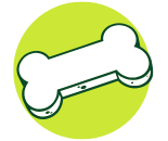 Dental