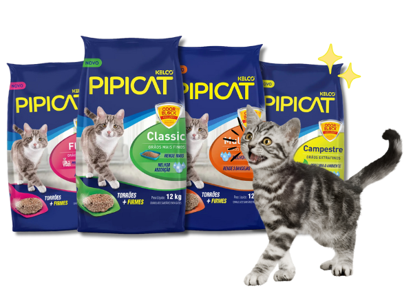 Pipicat