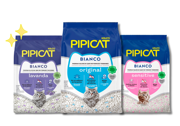 Pipicat