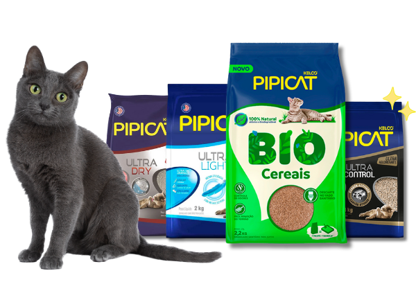 Pipicat