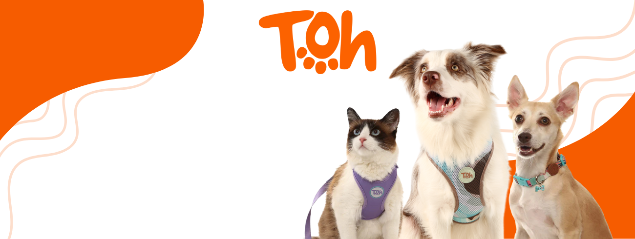Toh