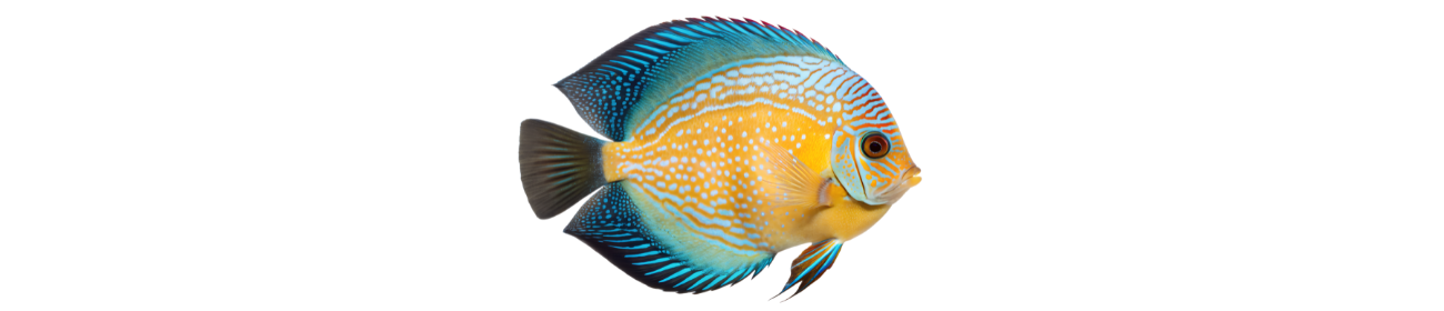 peixe nadando no aquario