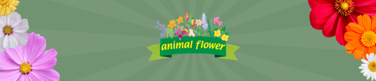 animal flower