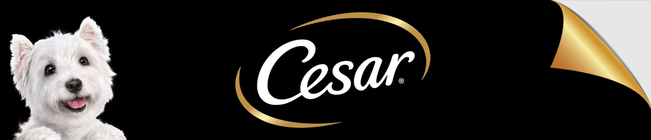 cesar