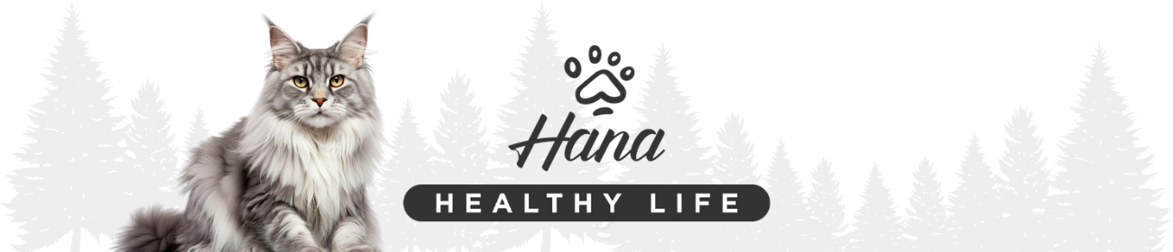 Hana Healthy Life