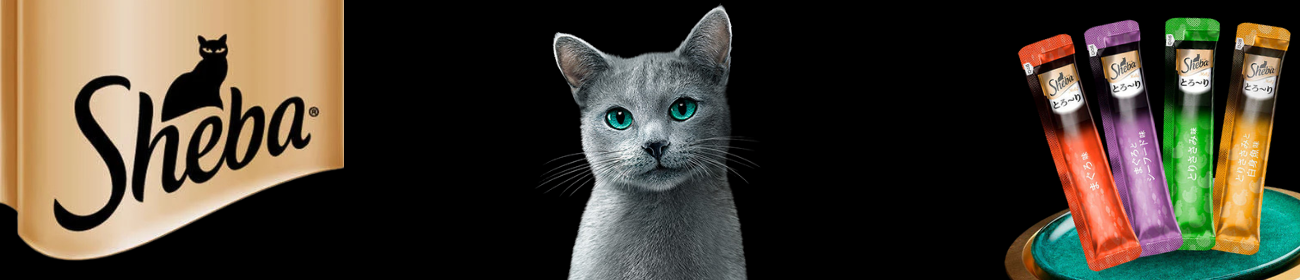 sheba